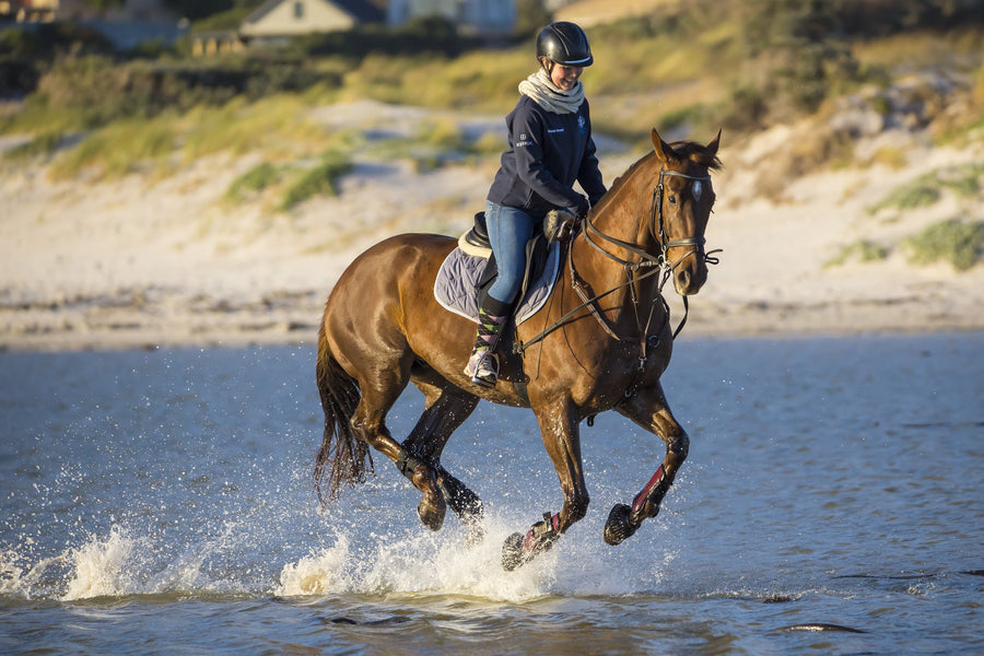 Choosing the Perfect Equestrian Visor: A Sun-Savvy Rider's Guide