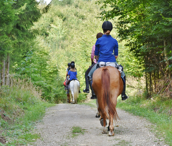 Horse Saddle Replacement: A Guide for Riders