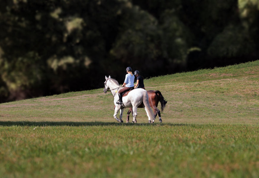 Keep Your Horse Hydrated: Essential Tips to Prevent Dehydration and Ensure Optimal Health