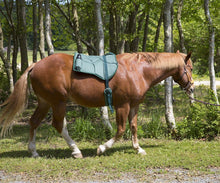 Load image into Gallery viewer, Best Friend Western Style Bareback Saddle Pad (Hunter Green)
